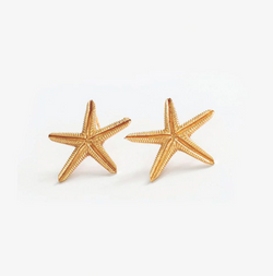 Sienna Starfish Post Earrings | Ink + Alloy