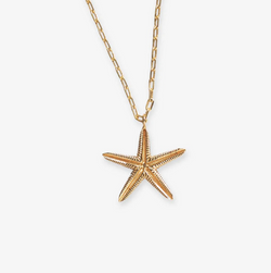 Sienna Starfish Pendant Necklace | Ink + Alloy