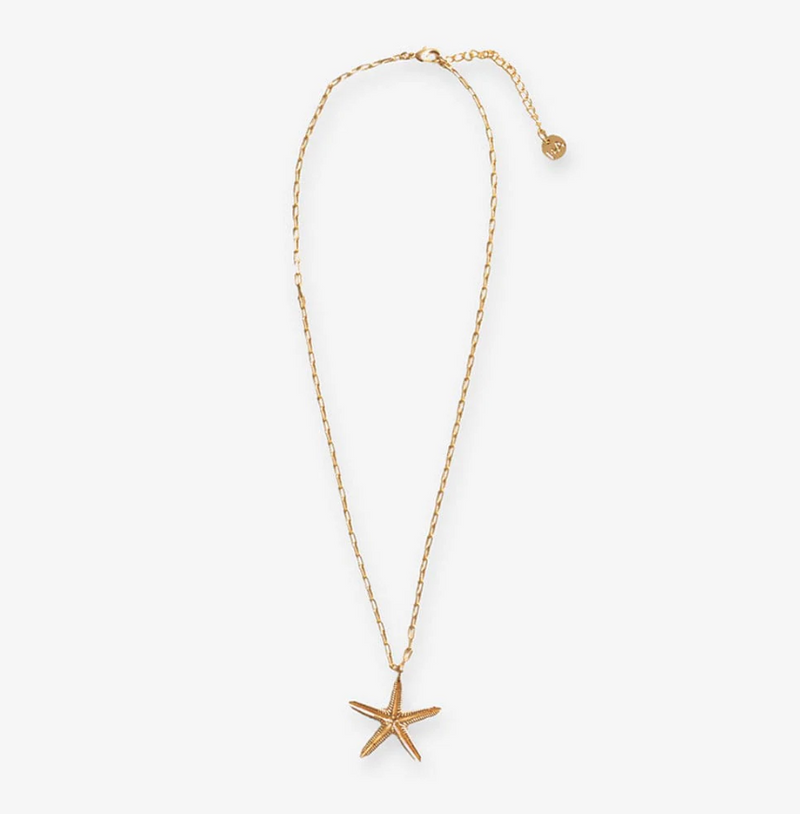 Sienna Starfish Pendant Necklace | Ink + Alloy