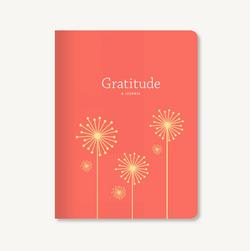 Gratitude Journal