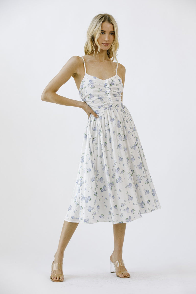 Miller Rose Print A-Line Dress, White/Blue Floral