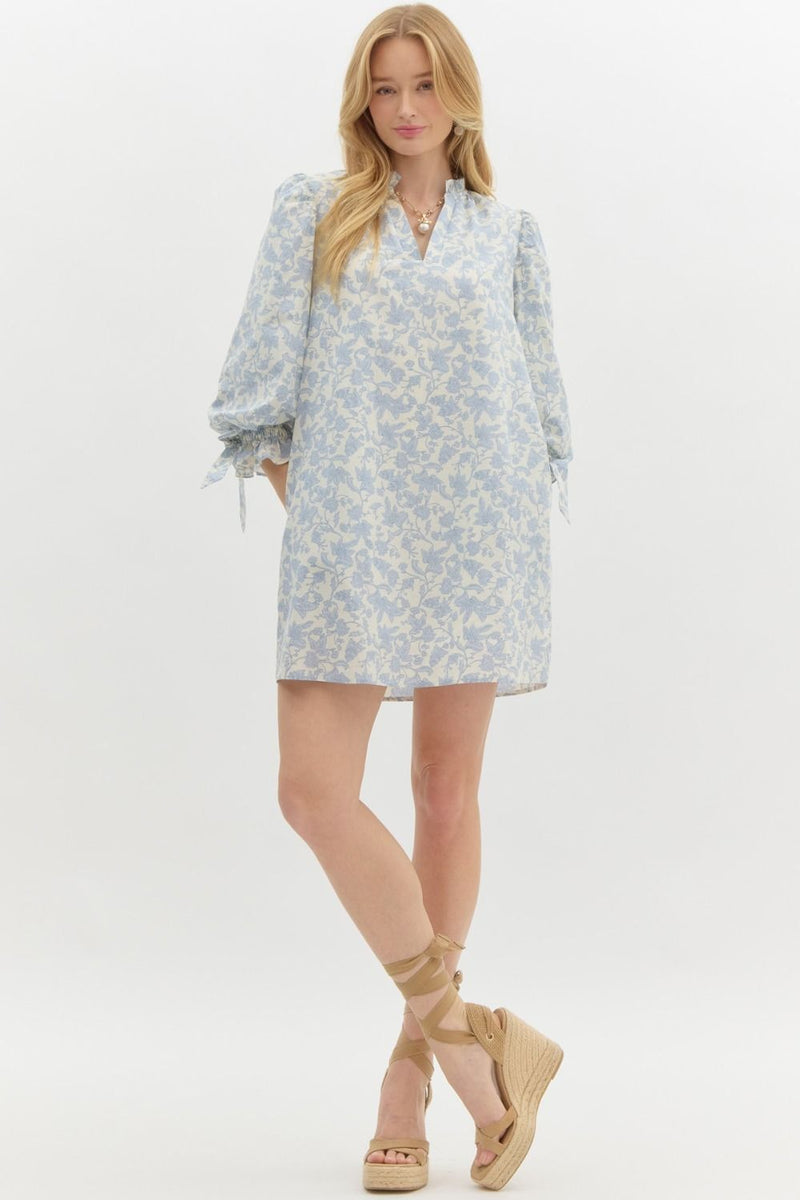 Tierney Floral Puff Sleeve Dress, Blue