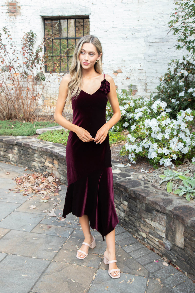 Lucille Velvet Dress, Wine | Steve Madden