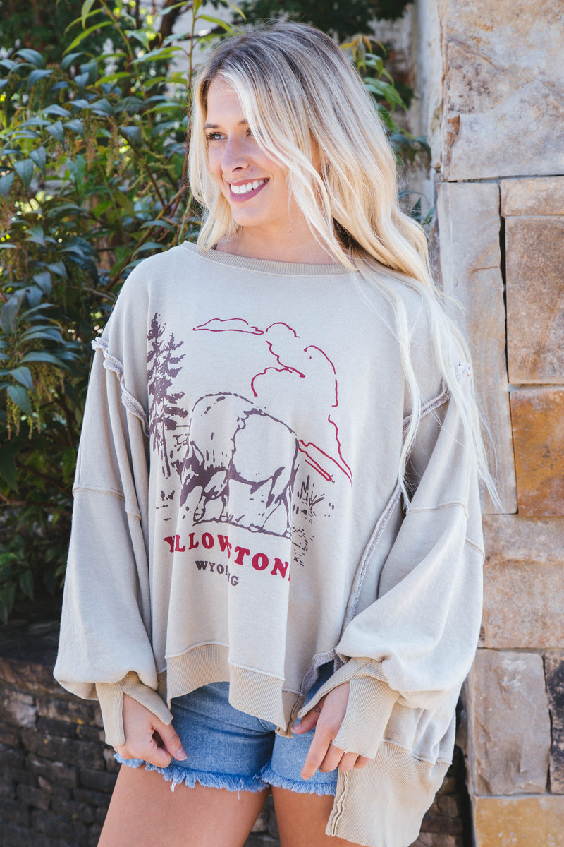 Graphic Camden Sweatshirt, Yellowstone Bison | Free People