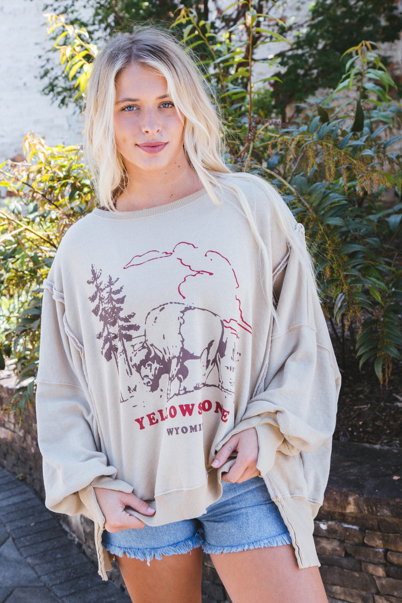 Graphic Camden Sweatshirt, Yellowstone Bison | Free People