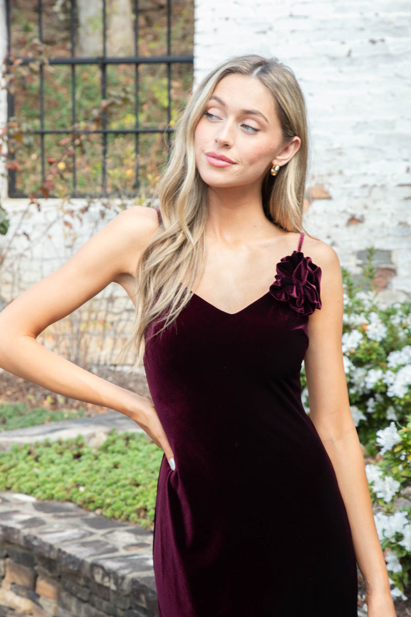 Lucille Velvet Dress, Wine | Steve Madden