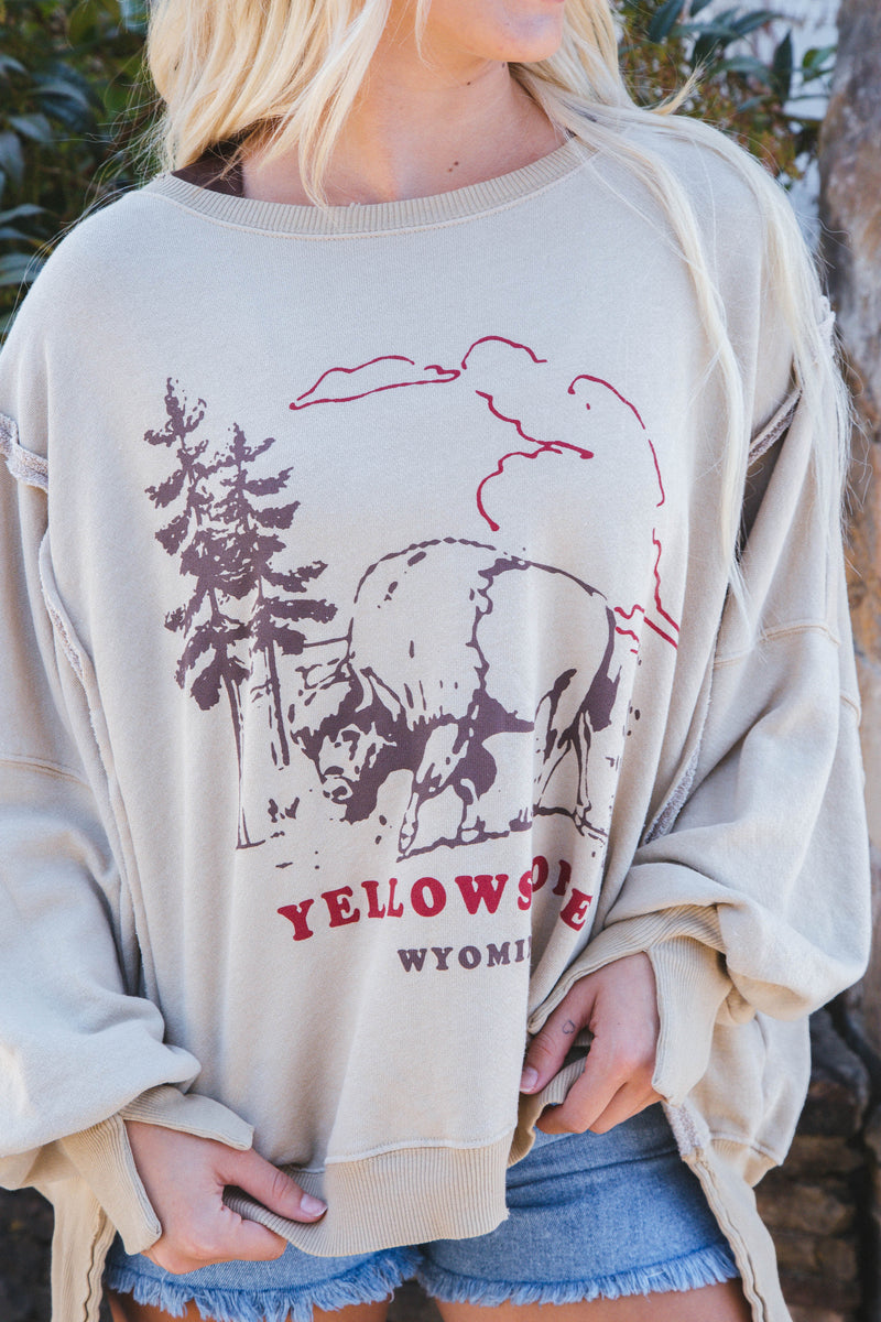 Graphic Camden Sweatshirt, Yellowstone Bison | Free People