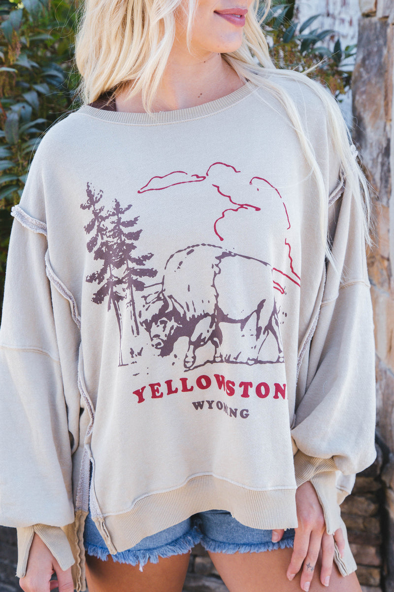 Graphic Camden Sweatshirt, Yellowstone Bison | Free People