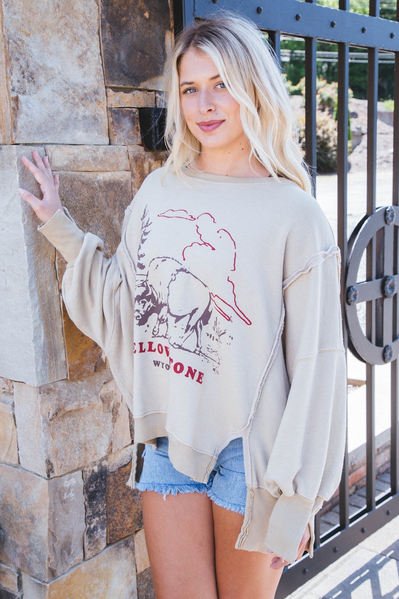 Graphic Camden Sweatshirt, Yellowstone Bison | Free People