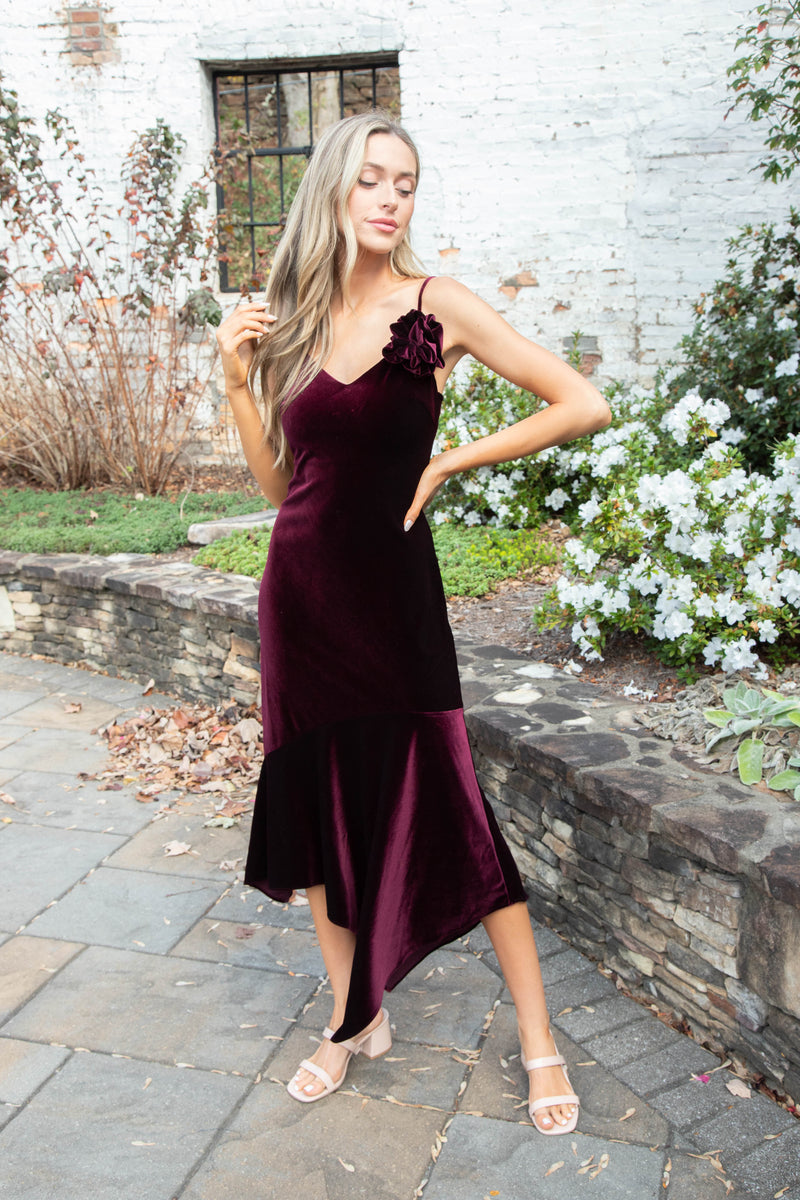 Lucille Velvet Dress, Wine | Steve Madden